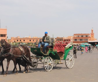 Buggy luxury tour of Marrakech